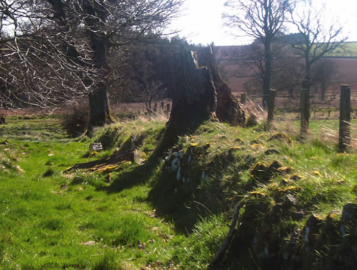 Slighhouses - Banked Boundary