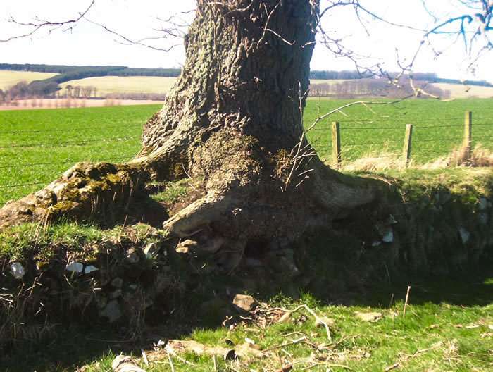 Slighhouses - Banked Boundary