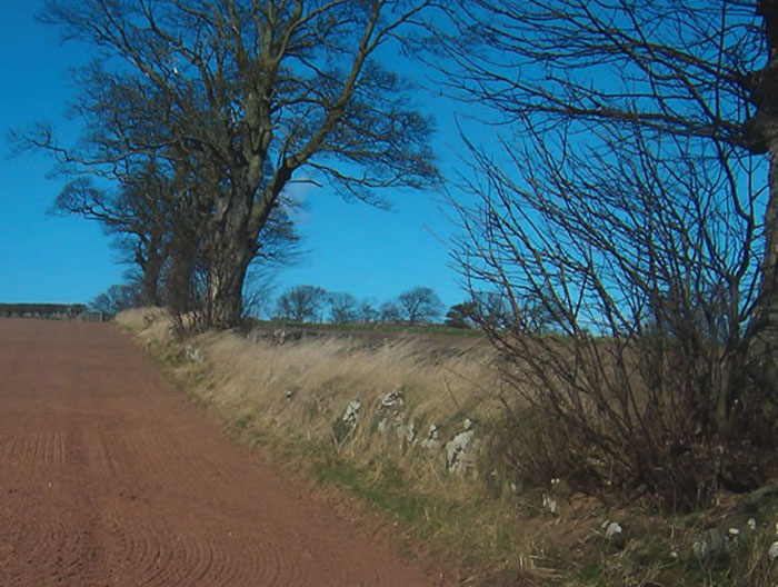 Slighhouses - Banked Boundary