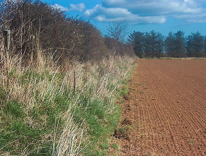 Slighhouses - Banked Boundary