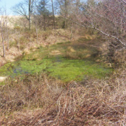 James Hutton's Marl Pit at Slighhouses